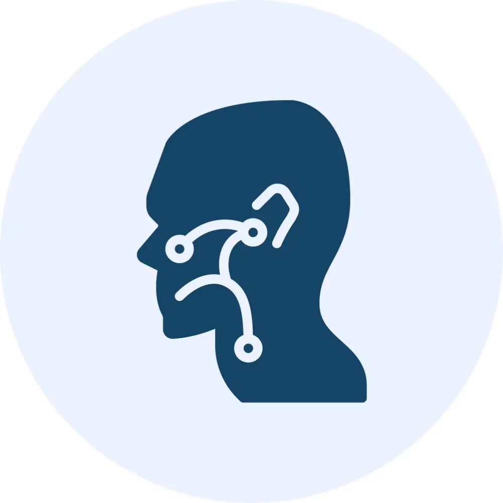 Ear, Nose and Throat Ear, Nose and Throat